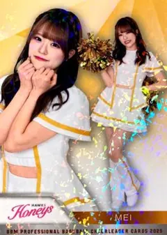 Item thumbnail for item 118cf895-19dc-4676-8411-8a1f39b328e9