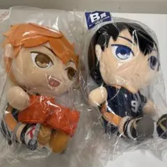 ハイキュー　一番くじ　ぬいもっち　B賞 ラストワン賞