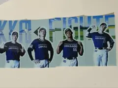 エスコンフィールド　期間限定配布 選手シール　4枚 日本ハムファイターズ