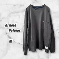 アーノルドパーマー　長袖Tシャツ（M）ロンT トップス メンズ 無地 シンプル