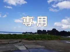 AYAトレ オルキス アヤトレ トリプルビー BBB 15包セット