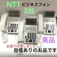【NTT】 ビジネスフォン ネットコミュニティシステム αNXⅡ 2017年製