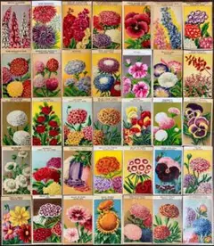 Item thumbnail for item a9c93ab3-a076-4bc6-b1d9-52210693cf53