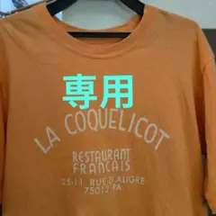 本日出品終了⭐️NATURAL LAUNDRY 半袖Tシャツ