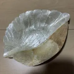 SoHalivingシェルデザイン インテリアトレイ