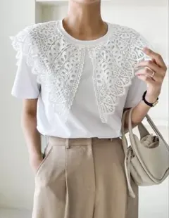 レース　襟付き　Tシャツ　ホワイト