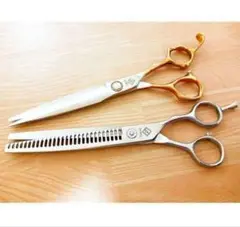 Item thumbnail for item c59c8089-c7ec-4e1a-8fea-375c66edc985