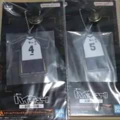 ハイキュー！！　一番くじ　アクリルチャーム　木兎光太郎　赤葦京治