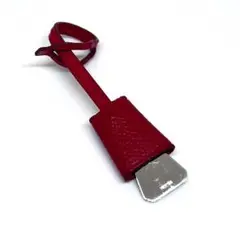 Item thumbnail for item d1a5ebde-cccd-499f-ad35-e727476aab52