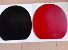 ディグニクス05 09c 2枚セット