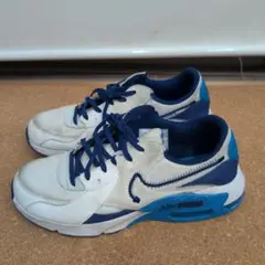 NIKE airmax エアマックスエクシー DZ0795-013 26cm