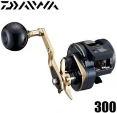 ソルティガIC300
