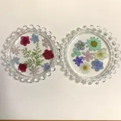 固まるハーバリュウム　トレイ2枚セット