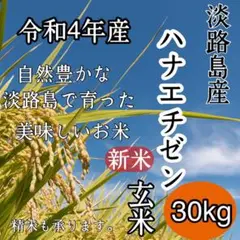 新米 令和4年 産 ハナエチゼン 玄米30キロ 淡路島 精米小分け可 30kg