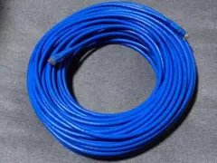 ロアス ナカバヤシ CAT6 LANケーブル 30m 青 LTC-C630BL