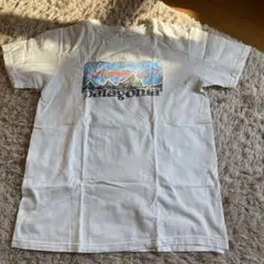 Patagonia Tシャツ 白
