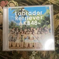 ラブラドール・レトリバー／AKB48