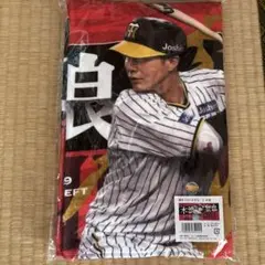 木浪聖也選手フォトタオル