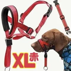 Item thumbnail for item 1fb4ff94-b0d7-4711-a4f7-3d3f25d84a22