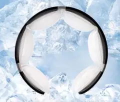 Item thumbnail for item 5cb406e6-2cce-4c34-b324-c8796c145755