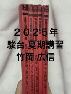 駿台 竹岡広信 夏期講習 2025 セット