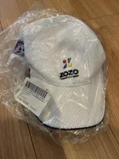 Item thumbnail for item 22bfebd2-9336-4ecf-998d-84eb2683d5c5