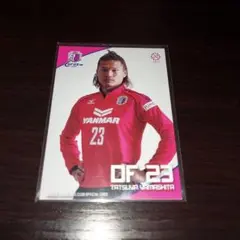 2014セレッソ大阪配布カード 山下達也カード