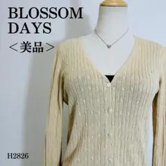 【美品】ブロッサムデイズ Vネックカーディガン ケーブル編み M相当 ベージュ