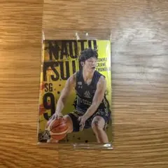辻直人Bリーグ ファングッズ 背番号9