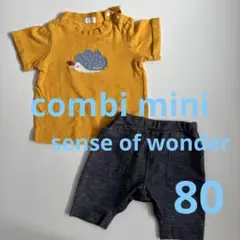 Tシャツとショートパンツセット　80サイズ