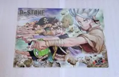 Dr.STONE 期間限定 ジャンプショップ クリアファイル