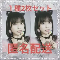 Item thumbnail for item 2654c581-51cf-487a-b524-41ac4760d94f