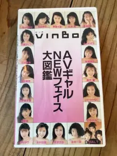 フジテレビ VINBO VOL.22 AV ギャルニューフェイス大図鑑 VHS