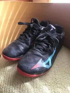 Mizuno ウエーブドライブNEO4　27.0cm