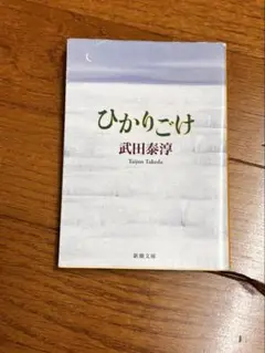 ひかりごけ　新潮文庫　武田泰淳