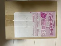 ナイトワンダラー　未開封1box