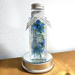 ハーバリウム　ネモフィラ　LED照明