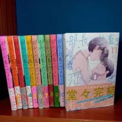 【全巻帯付】部長と社畜の恋はもどかしい 全巻　1-11巻