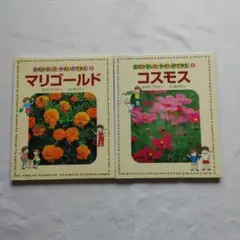 2冊セット コスモス マリーゴールドお花がさいた・やさいができた おかだひろみ