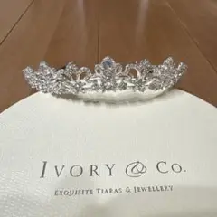 2025年最新】ivory&co alyssaの人気アイテム - メルカリ
