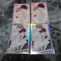 drap 25周年記念展 オーロラカード 鉢野うら