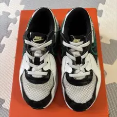 NIKE スニーカー　キッズ　18センチ