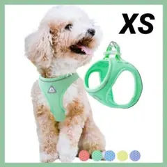 Item thumbnail for item 2c0ee983-abcb-48cf-a672-d7fdd3830704