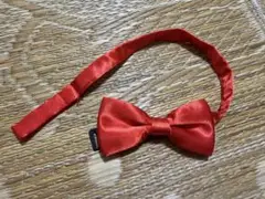 Item thumbnail for item ff2d911e-a8e0-4fc9-aef5-029e3d3bc4cb