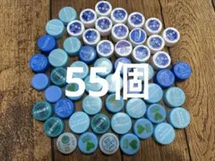 ペットボトルキャップ/蓋/ふた/フタ　ブルー青系55個　工作　DIYに