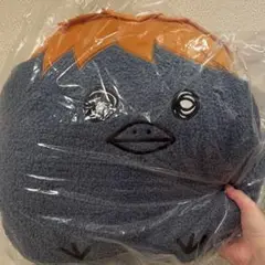 ハイキュー　一番くじ　C賞　ヒナガラス
