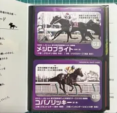 競馬 メモリアルレースカードセット 31枚（非売品）