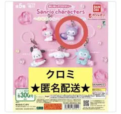 めじるしアクセサリー クロミ