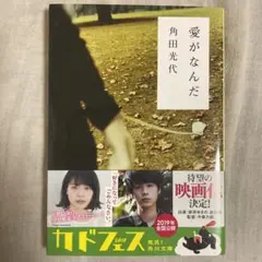 愛がなんだ