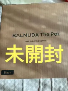 2022年型 BALMUDA 電気ケトル